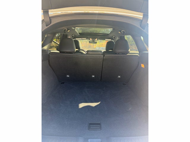 2023 INFINITI QX50 SPORT