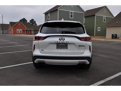 2024 INFINITI QX50 SPORT AWD