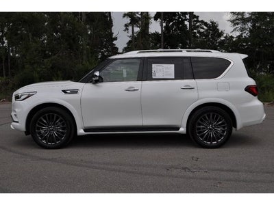 2024 INFINITI QX80 SENSORY 4WD