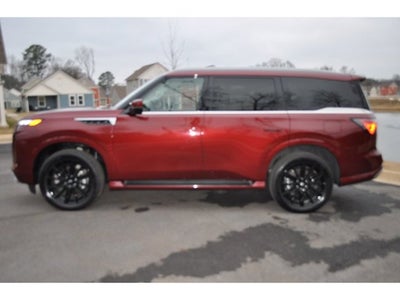 2025 INFINITI QX80 Luxe 2WD