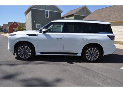 2026 INFINITI QX80 Luxe 2WD